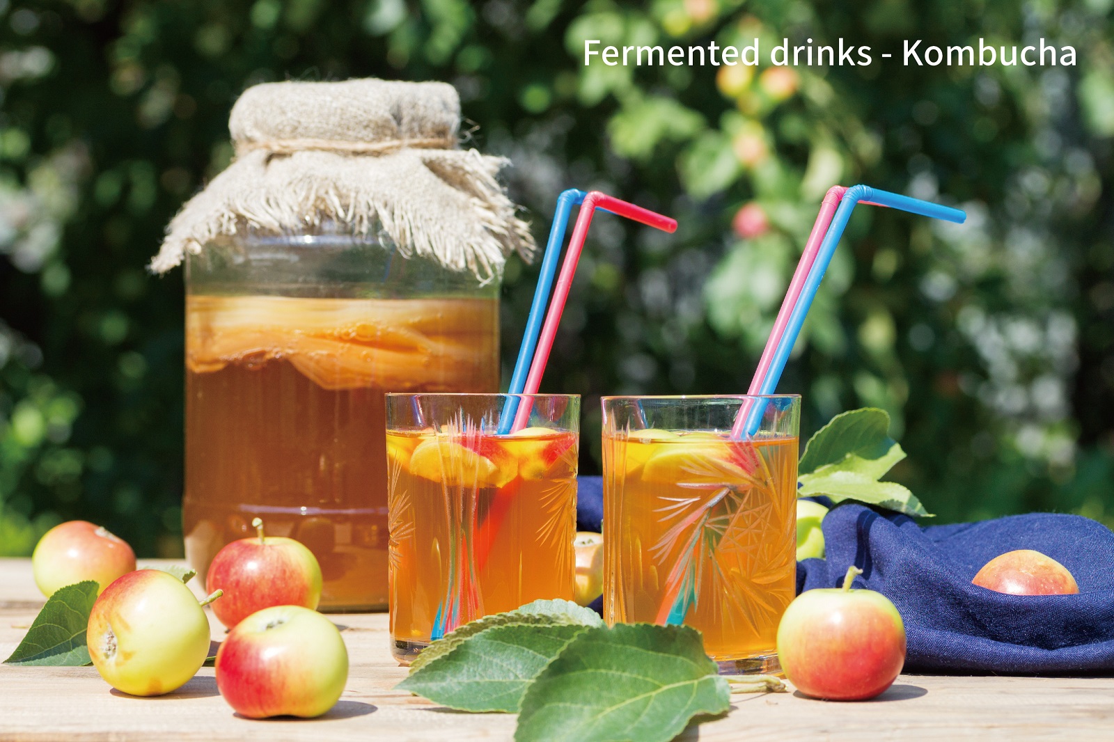 6. kombucha Fermented drinks