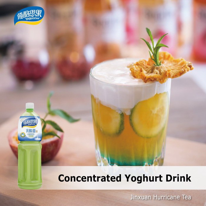 Yogurscool Concentrated Yoghurt Drink_Jinxuan hurricane tea